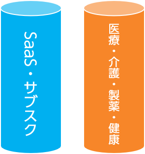 2大基本戦略の図